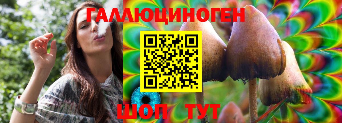 Королёв  Галлюциногенные грибы Cubensis  Вход с VPN 